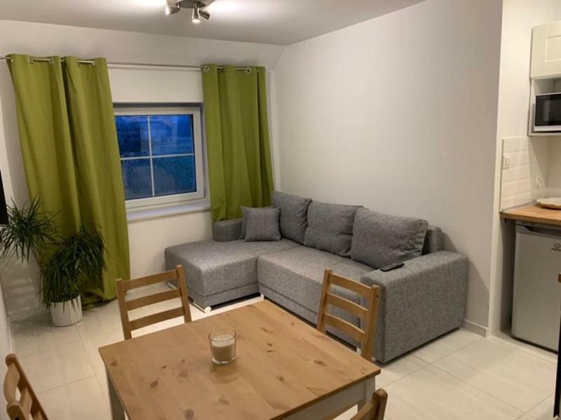 Vila Sarnia Polana Kostrzyca Exteriér fotografie